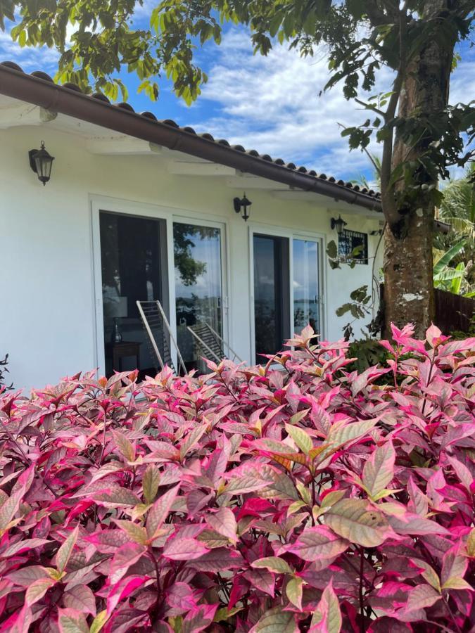 Boca Brava Paradise Bed & Breakfast Boca Chica Exterior foto