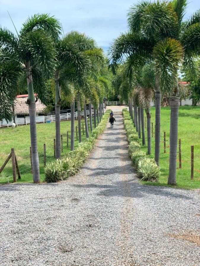 Boca Brava Paradise Bed & Breakfast Boca Chica Exterior foto